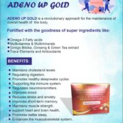 ADENO UP GOLD | PCD Pharma Franchise