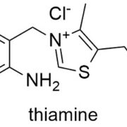 Thiamine