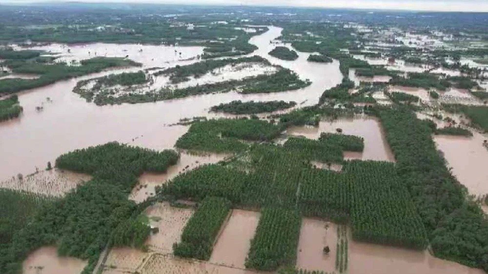 pchpl flood help.jpeg