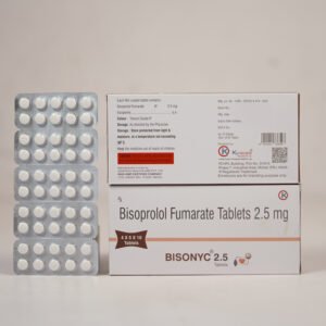 Bisonyc-2.5