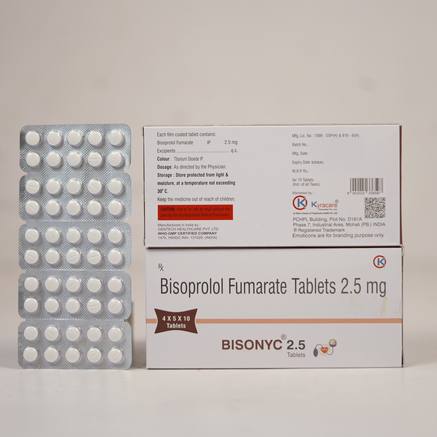 Bisonyc-2.5