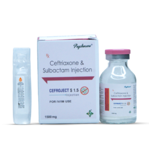 CEEFROJECT S 1.5