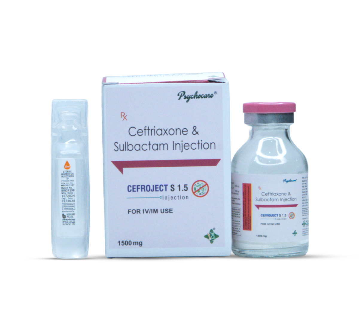 CEEFROJECT S 1.5