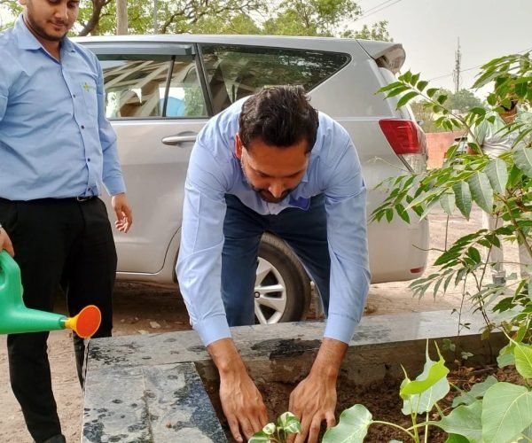 Celebrating Environment Day – Planting a Tree for a Greener Future at the Office!