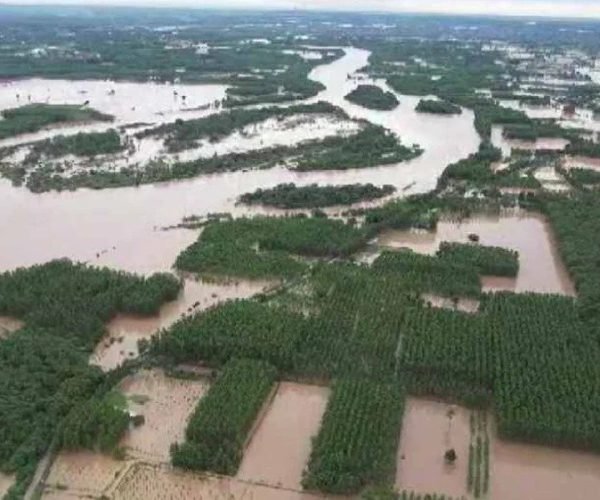 pchpl flood help.jpeg